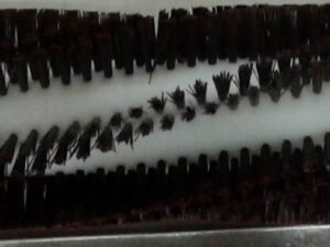 Borste till transportör 24"